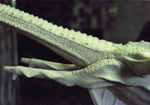 Close up of Smirkenorff's front legs and long neck.