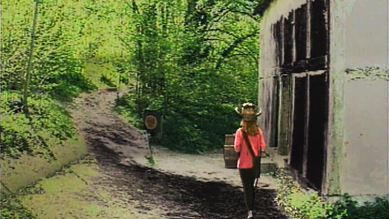 One of the clearings from Wolfglade, a settlement from Level 1 of Series 5 in Knightmare.