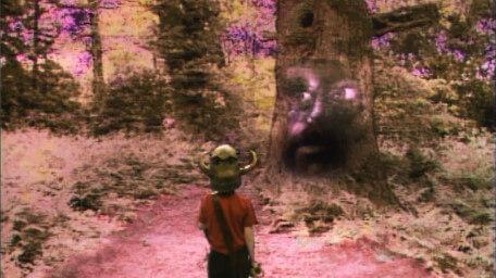 Oakley's Glen, as seen in Series 5 of Knightmare (1991).