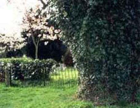 A fenced area in the second season of the Knightmare RPG.
