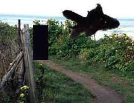 A floating fish in the second season of the Knightmare RPG.