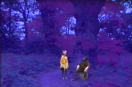 A forest glen in the third series of El Rescate del Talisman.