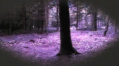 Dunkley Wood, as seen in Series 4 of Knightmare (1990)